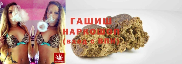 spice Богородицк